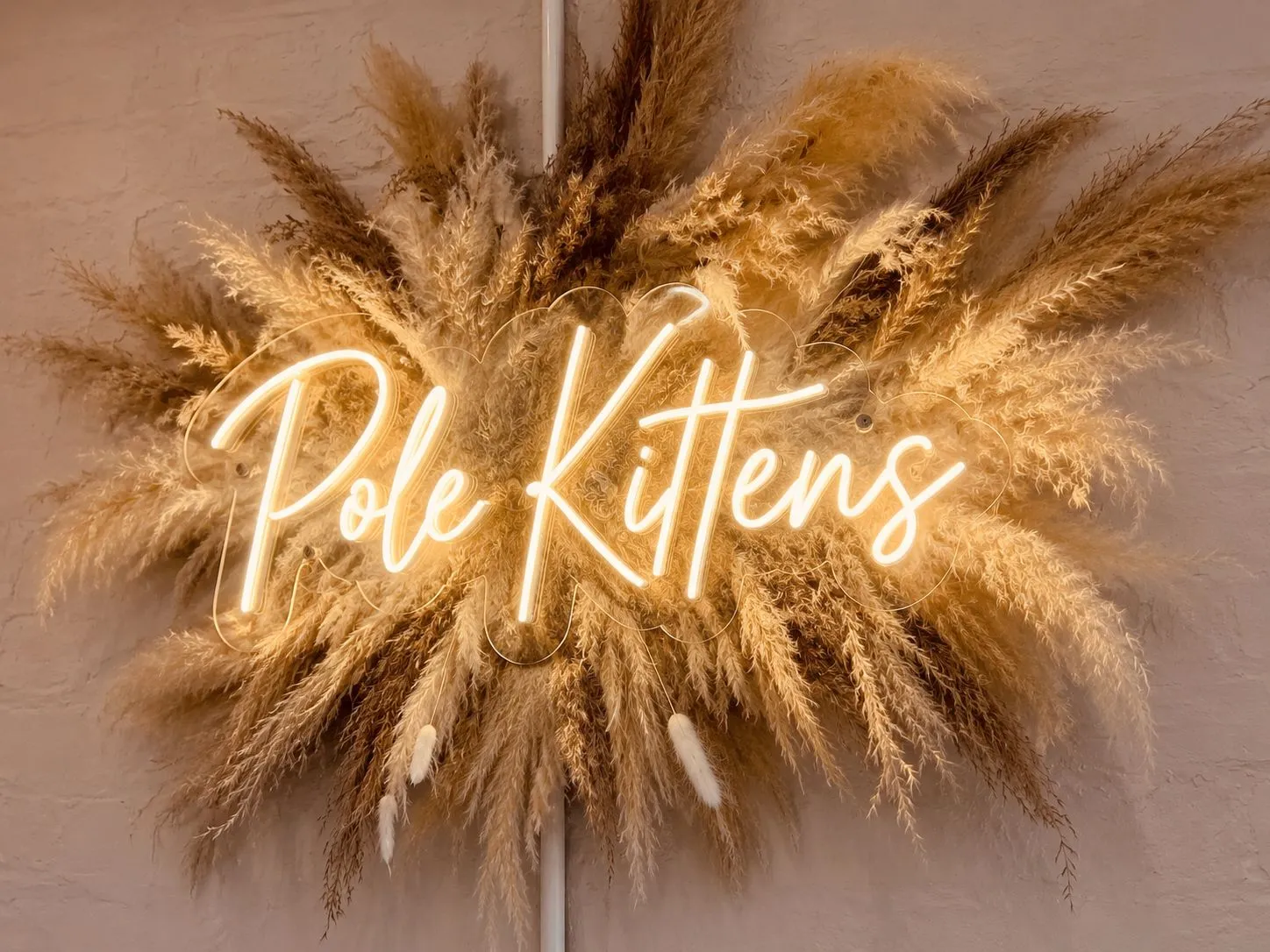 Pole Kittens Studio